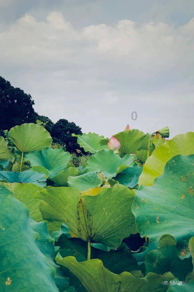 发现冷知识的最佳平台 - 什么叫做守岁呢